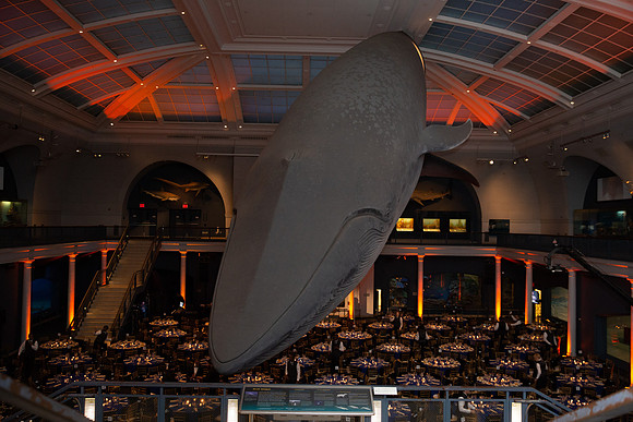 whaleRoom-011-ML_23572