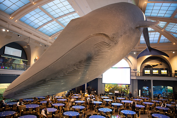 whaleRoom-009-ML_23195